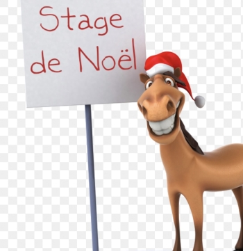 Stages de Noël 