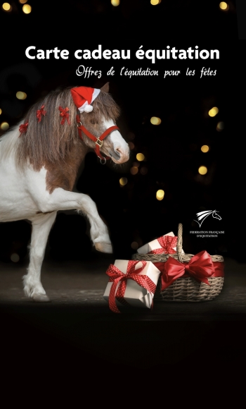 Offrez de l’équitation à Noël 
